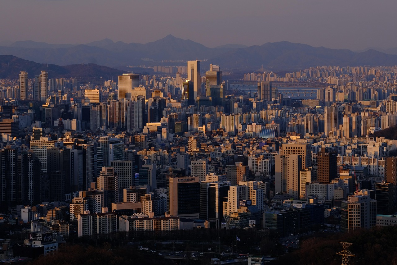 강남 이사업체 추천