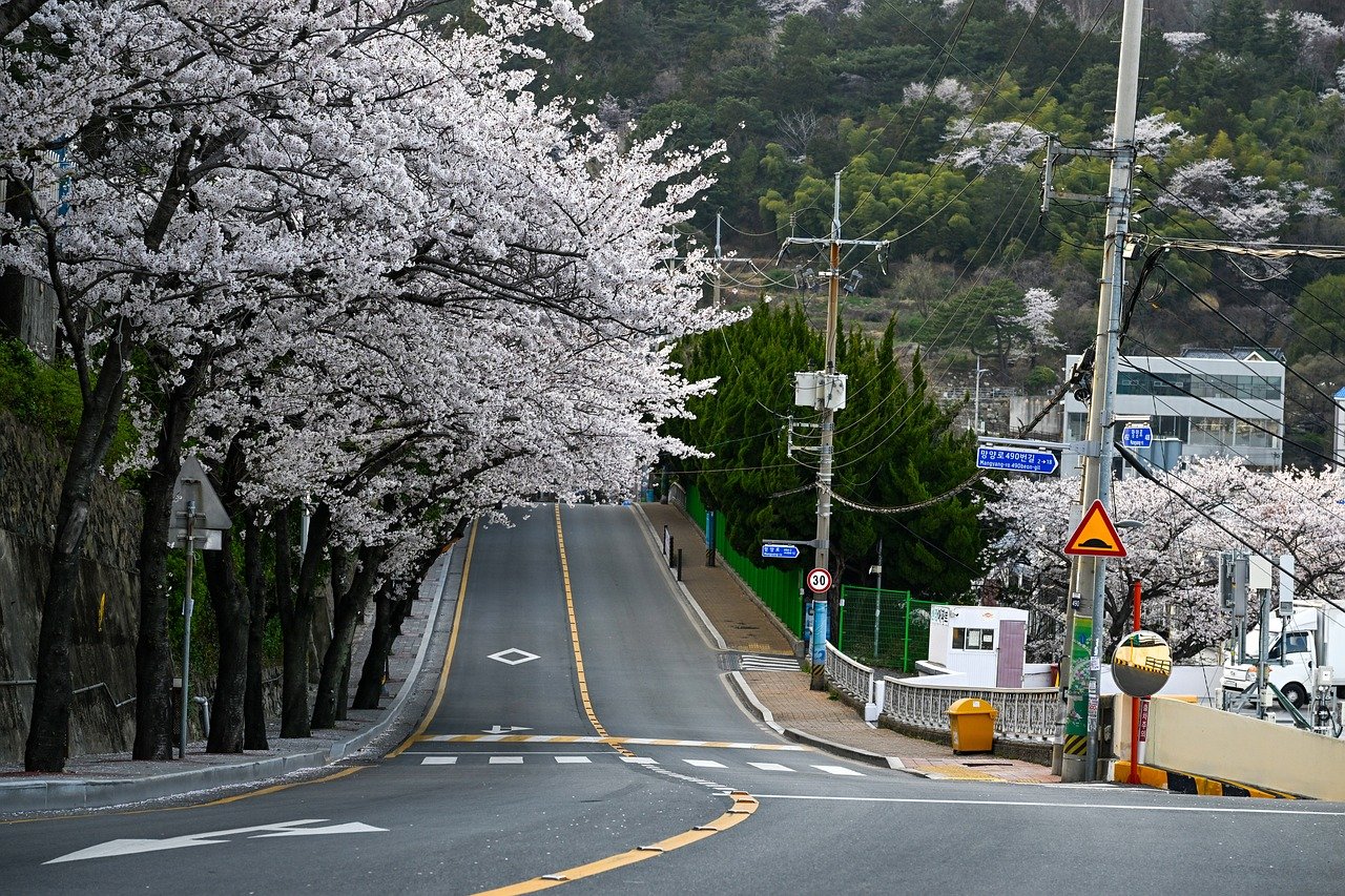 부산 이삿짐센터 2025년5월달말날