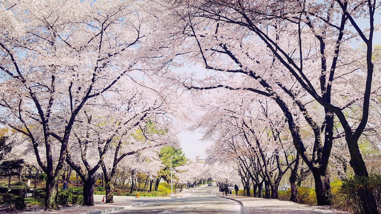 대구 달성군 포장이사