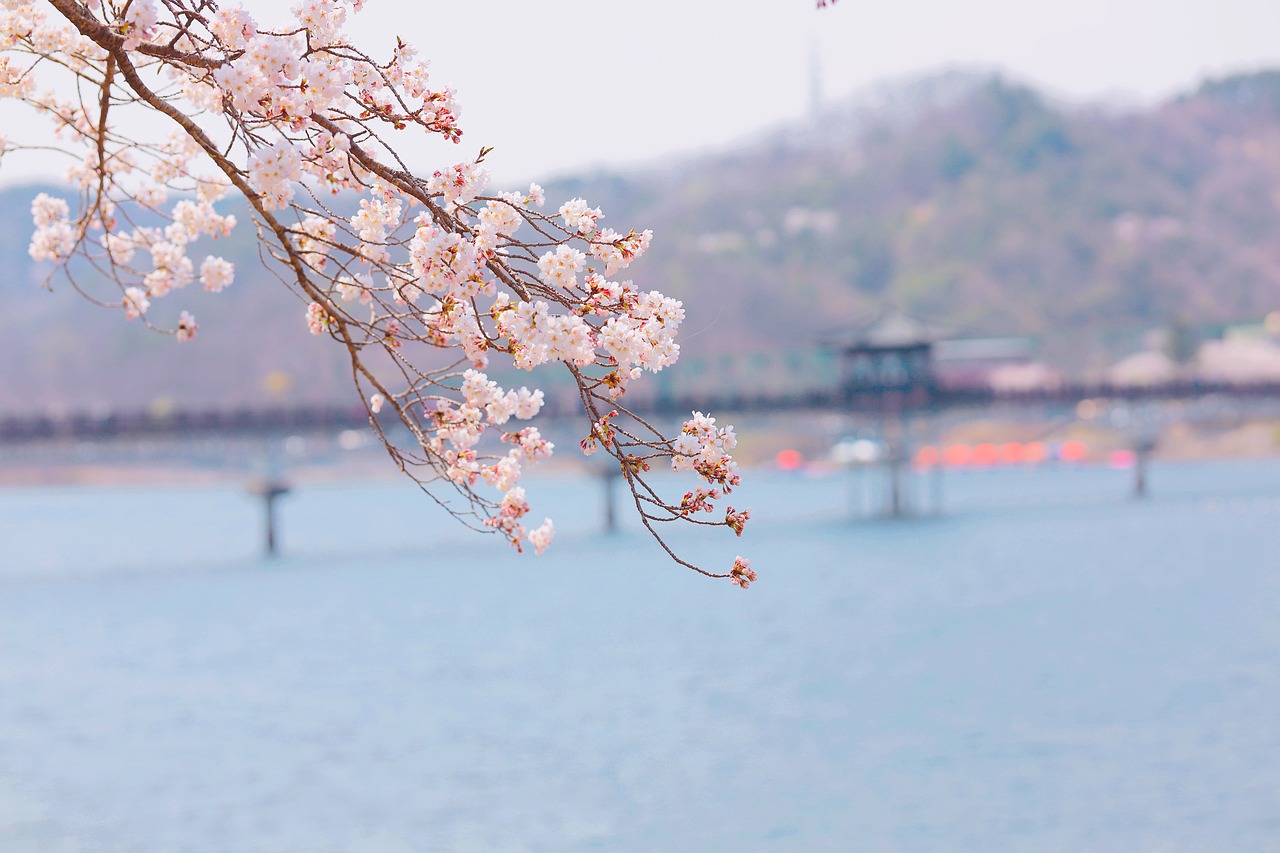 하안동용달이사