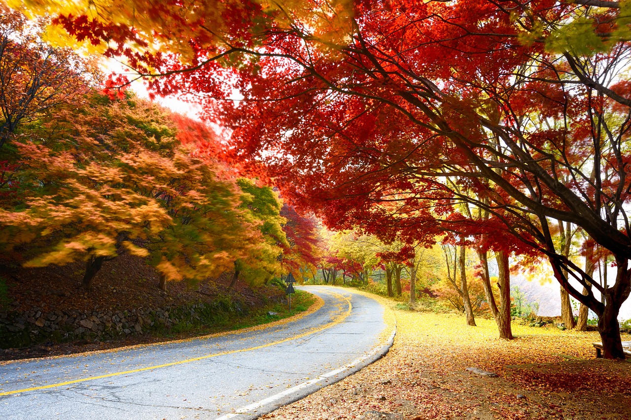 청평이삿짐
