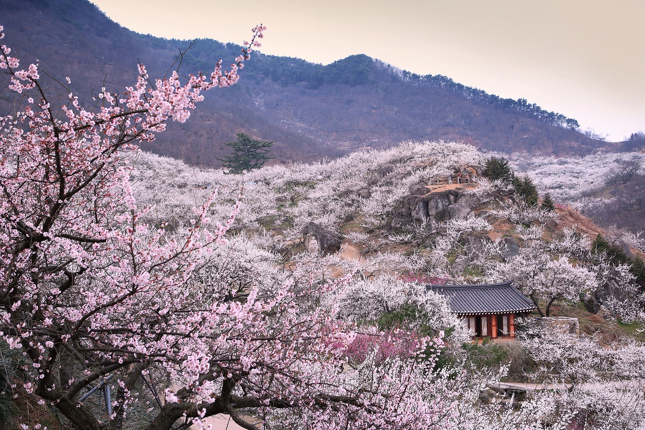 용달견적 광양이사