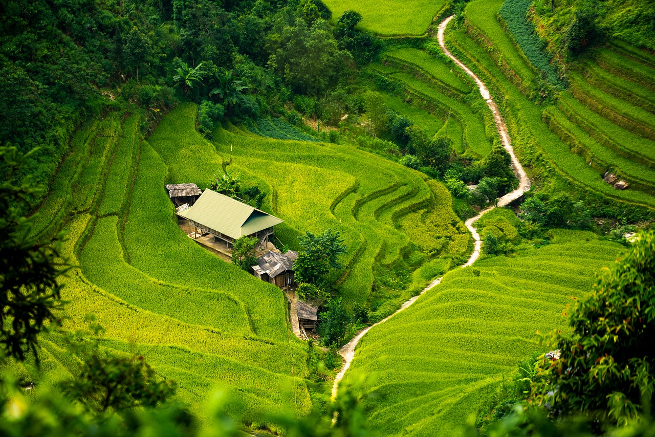 철산동아파트 이사