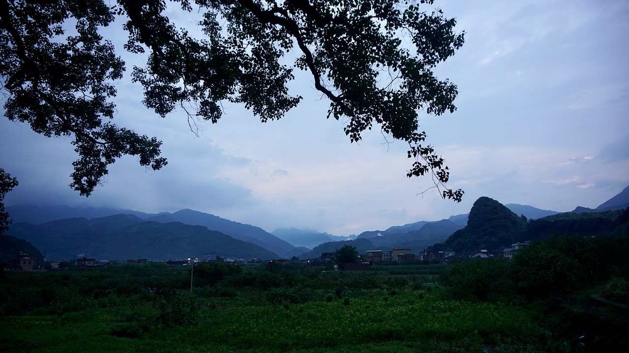 군산이삿짐